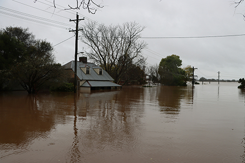 Flooded Houses